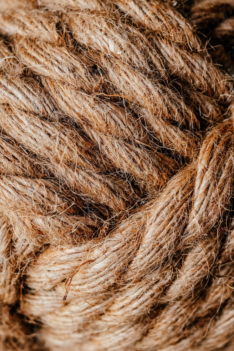 Raw jute fibers